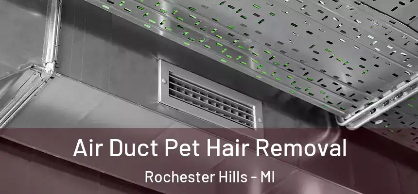  Air Duct Pet Hair Removal Rochester Hills - MI