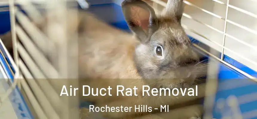  Air Duct Rat Removal Rochester Hills - MI