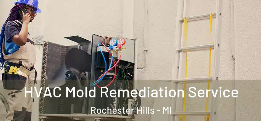  HVAC Mold Remediation Service Rochester Hills - MI