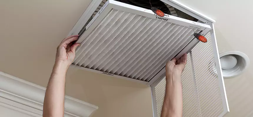 Preventive Cockroach-Proofing for Ducts in Rochester Hills