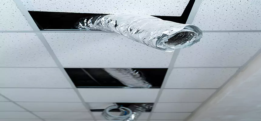 Our Air Duct Pet Hair Removal Services in Rochester Hills, MI