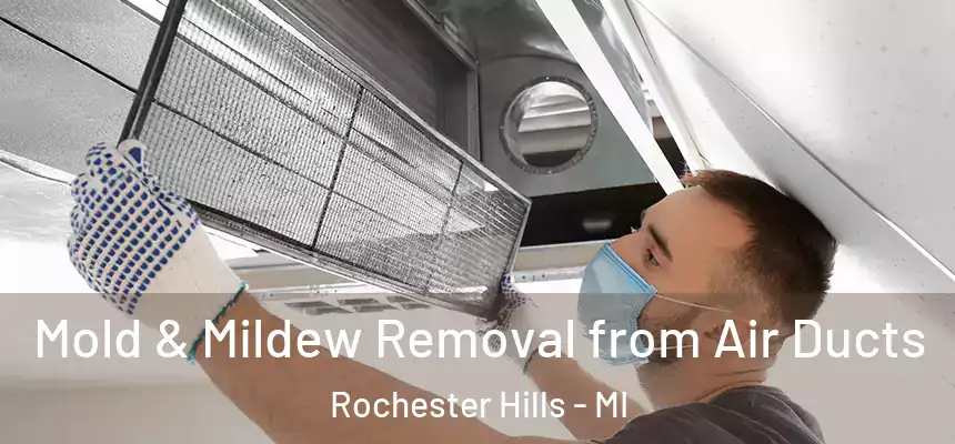 Mold & Mildew Removal from Air Ducts Rochester Hills - MI