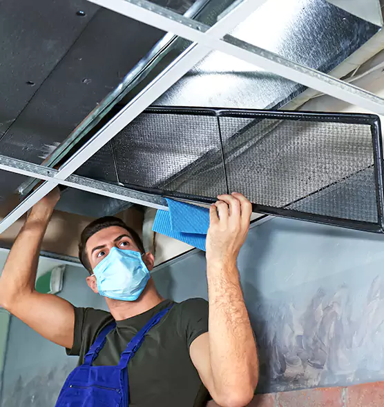 Professional Air Duct Pollen Cleaning in Rochester Hills, MI