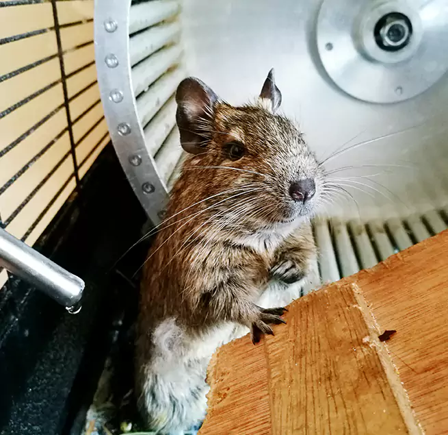 Why Homeowners & Businesses Trust Us Rochester Hills, MI