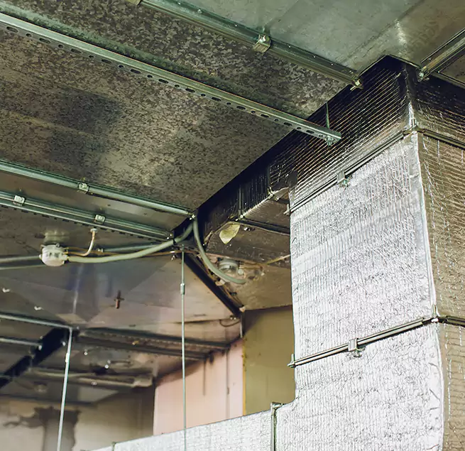 Why Homeowners & Businesses Trust Us in Rochester Hills, MI?